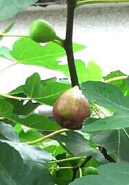 �o��Ƃ�悪��