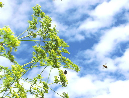 �o��Ƃ�悪��