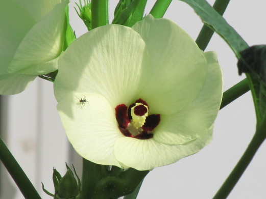 �o��Ƃ�悪��