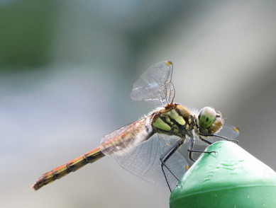 �o��Ƃ�悪��