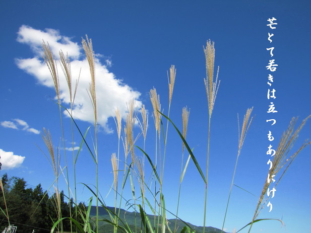 �o��Ƃ�悪��