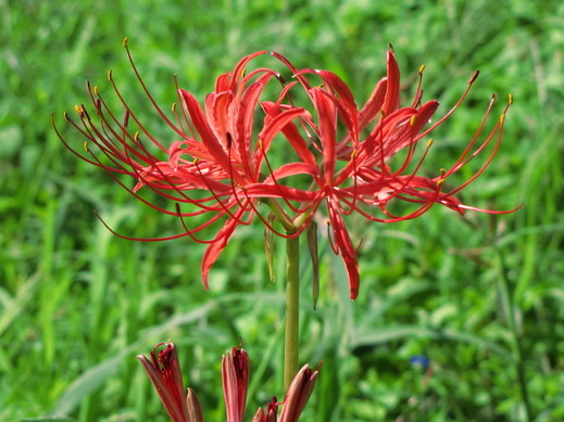 �o��Ƃ�悪��