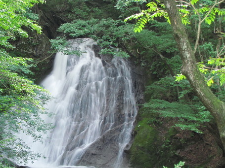 �o��Ƃ�悪��