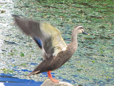 �o��Ƃ�悪��