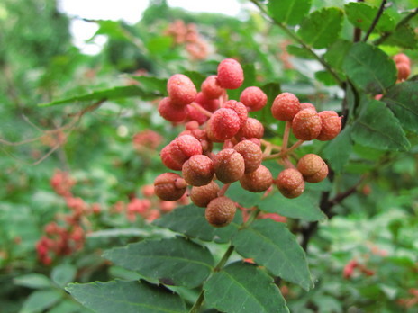 �o��Ƃ�悪��