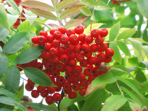 �o��Ƃ�悪��