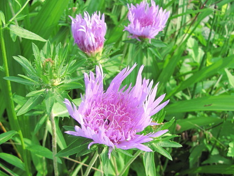 �o��Ƃ�悪��