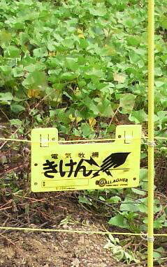 �o��Ƃ�悪��