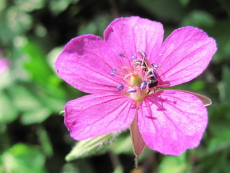 �o��Ƃ�悪��