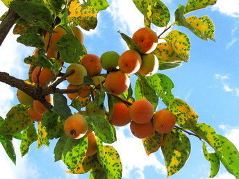 �o��Ƃ�悪��