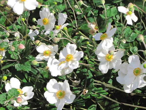 �o��Ƃ�悪��