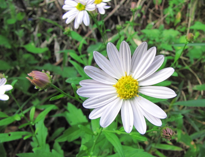 �o��Ƃ�悪��