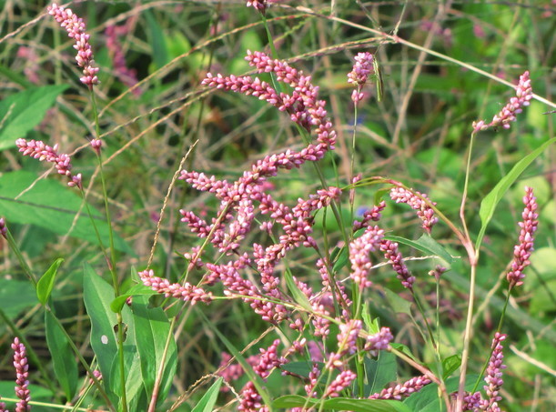 �o��Ƃ�悪��