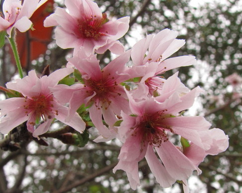 �o��Ƃ�悪��