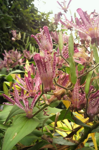 �o��Ƃ�悪��