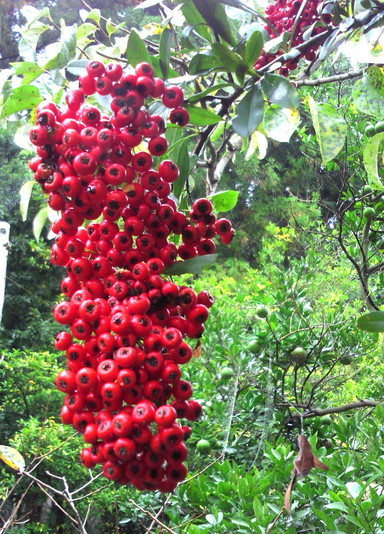 �o��Ƃ�悪��