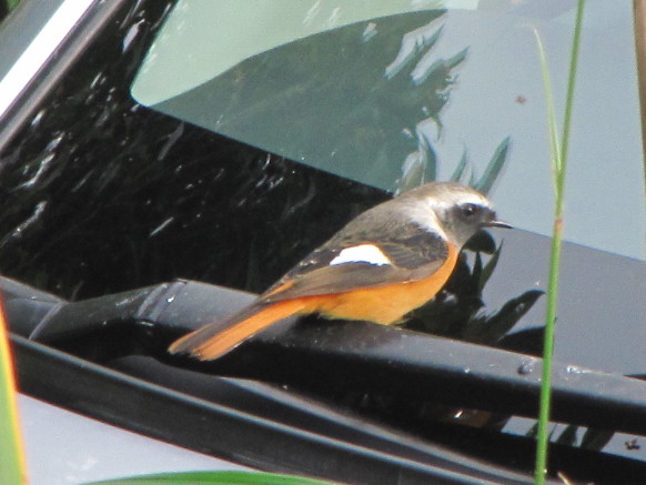 �o��Ƃ�悪��