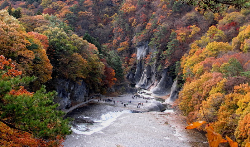 �o��Ƃ�悪��