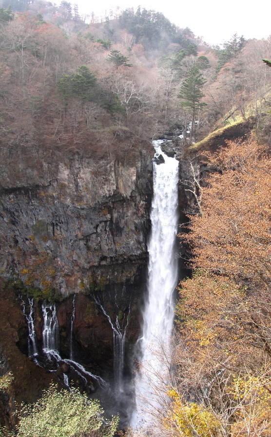 �o��Ƃ�悪��