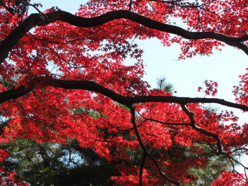 �o��Ƃ�悪��