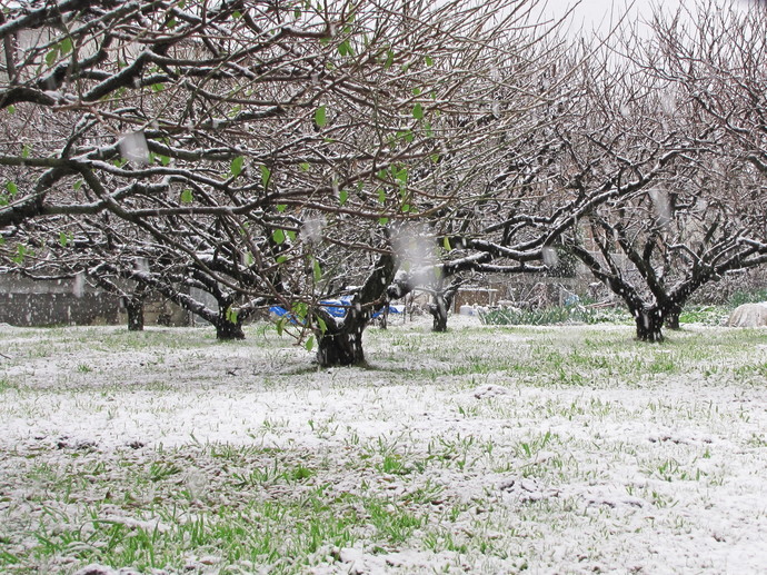 �o��Ƃ�悪��