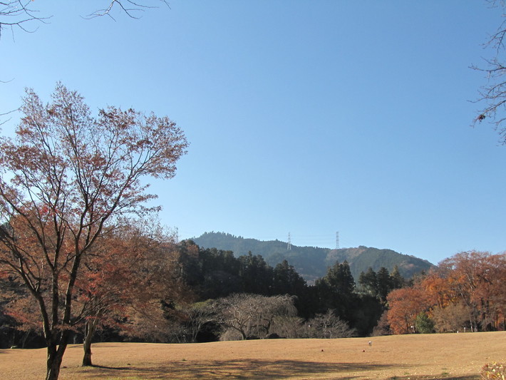 �o��Ƃ�悪��