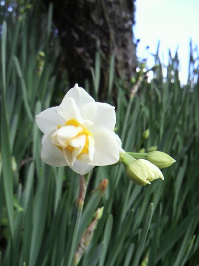 �o��Ƃ�悪��