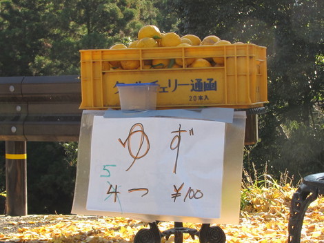 �o��Ƃ�悪��