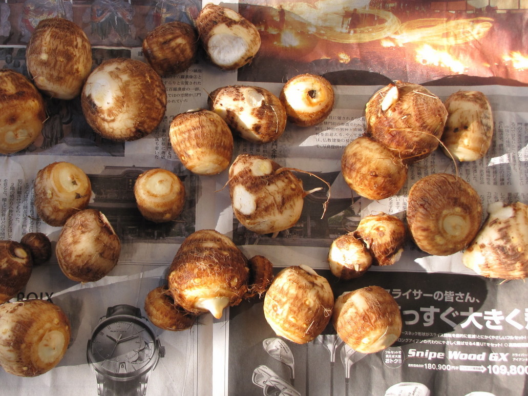 �o��Ƃ�悪��