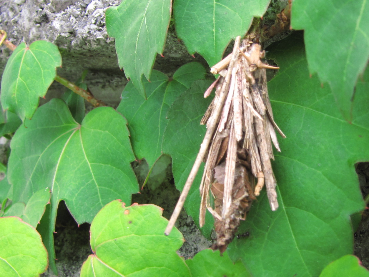 �o��Ƃ�悪��