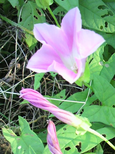 �o��Ƃ�悪��