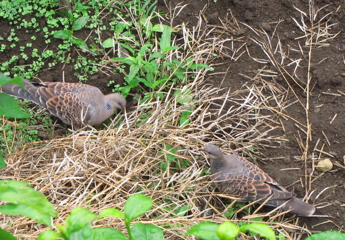 �o��Ƃ�悪��