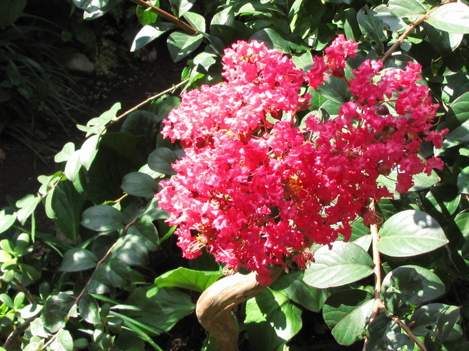 �o��Ƃ�悪��