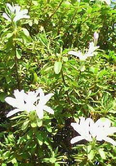 �o��Ƃ�悪��