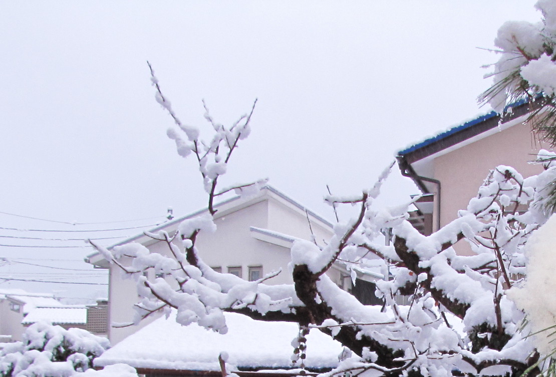 oƂ悪