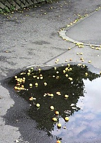 oƂ悪