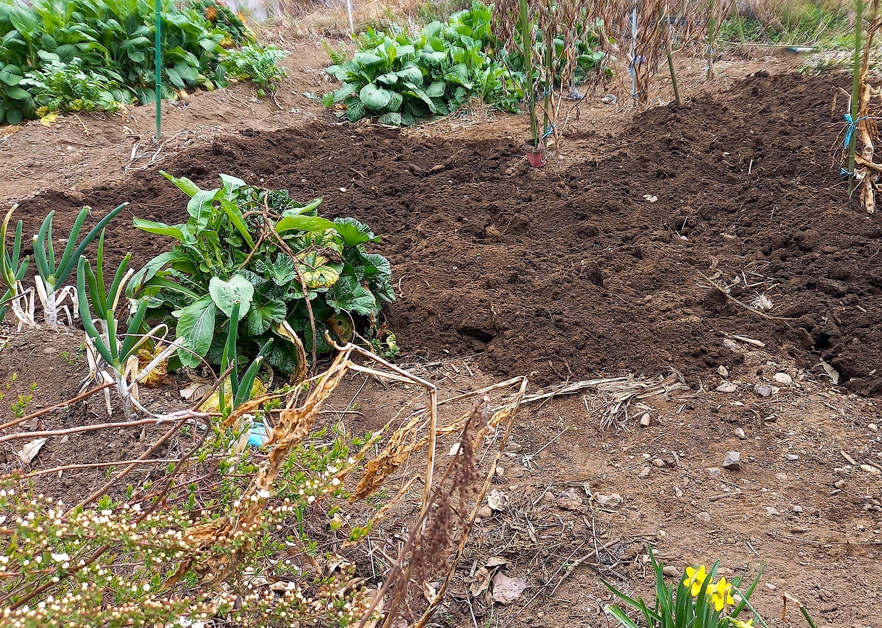 �t�k�i�o��Ƃ�悪��j