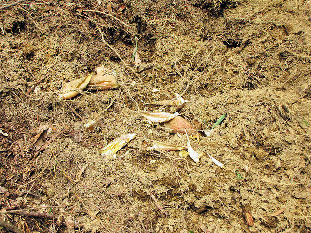 �o��Ƃ�悪��