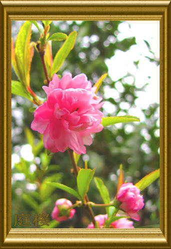 �o��Ƃ�悪��