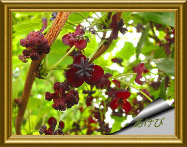 �o��Ƃ�悪��