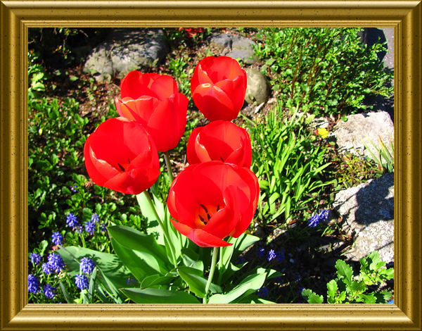 �o��Ƃ�悪��