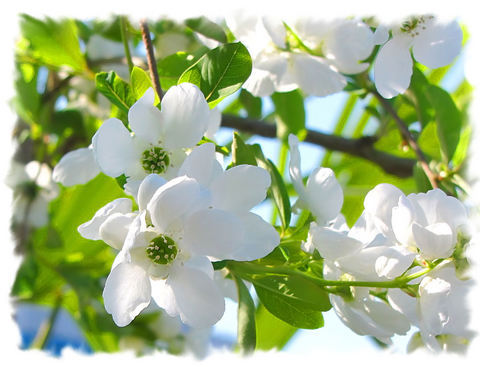 �o��Ƃ�悪��