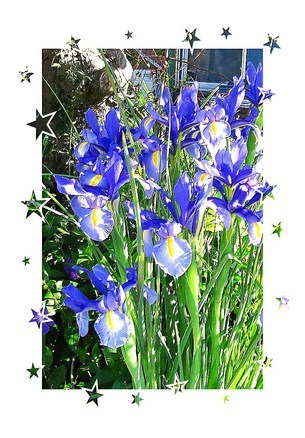 �o��Ƃ�悪��