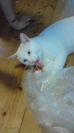 �����}�}