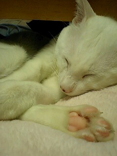 �����}�}