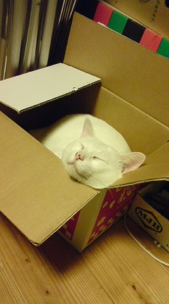 �����}�}