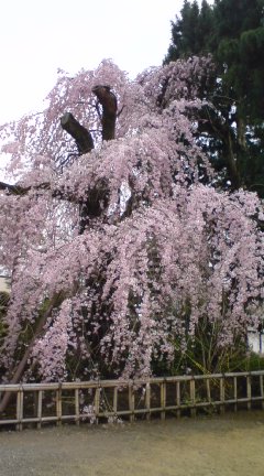 �����}�}