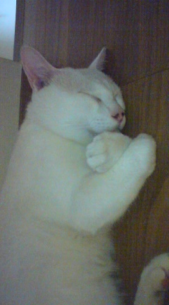 �����}�}