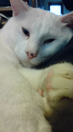 �����}�}