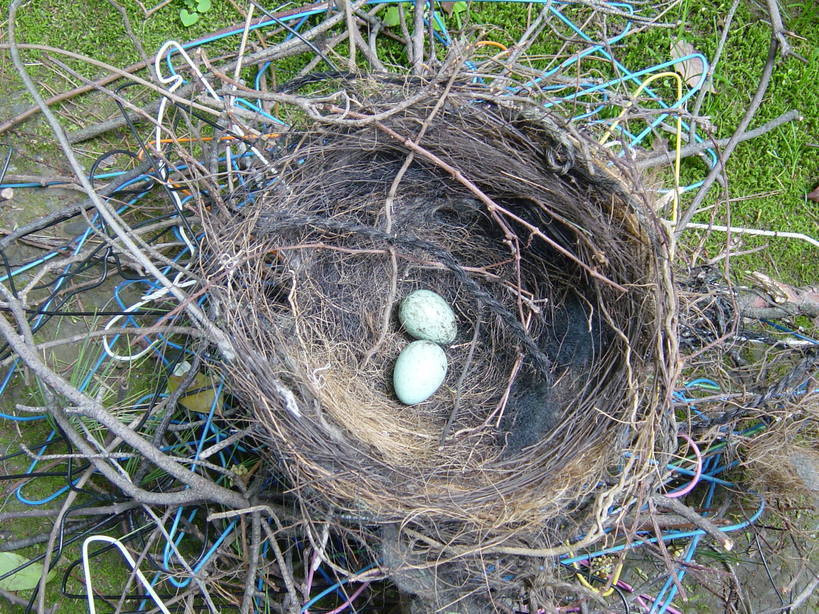 ���V����